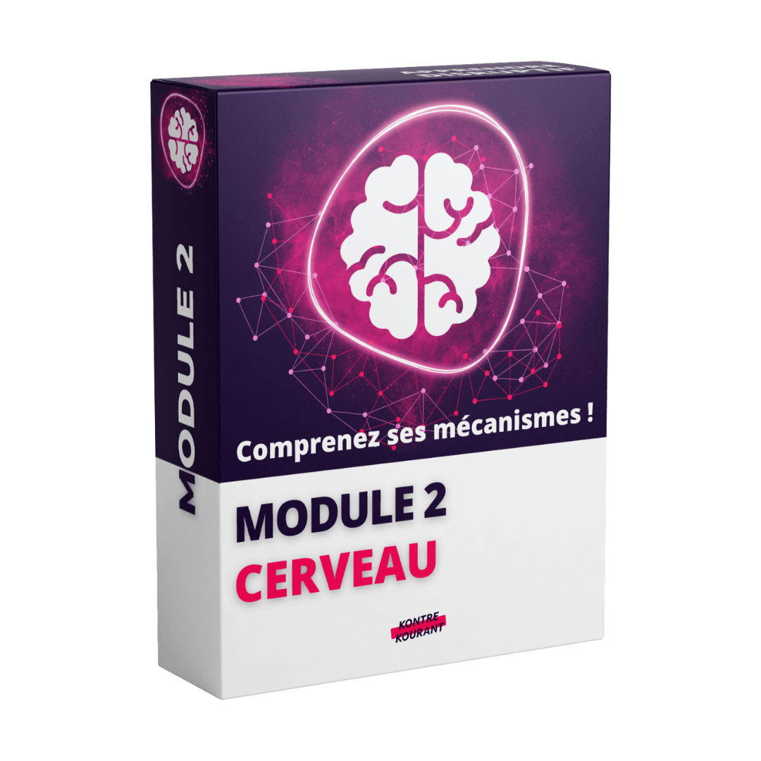 neurosciences et études